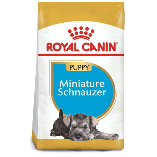 Royal canin, BHN, Mini Schnauzer Puppy