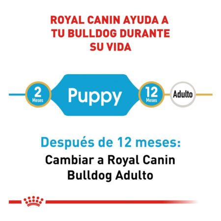 Royal canin. BHN, Bulldog Puppy - Imagen 5