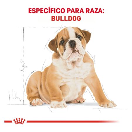 Royal canin. BHN, Bulldog Puppy - Imagen 3