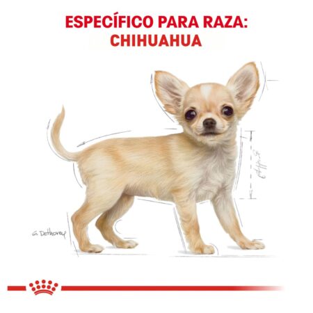 Royal canin, BHN, Chihuahua Puppy - Imagen 3