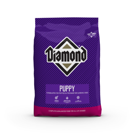 Diamond puppy dog