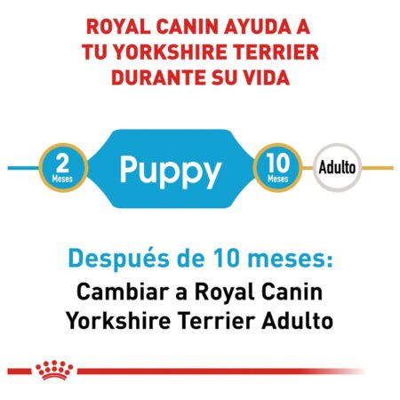 Royal canin, BHN, Yorkshire Terrier Puppy - Imagen 5