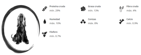 FullTrust senior - Imagen 3