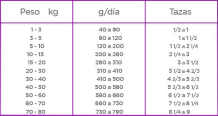 Nupec High Performance - Imagen 4