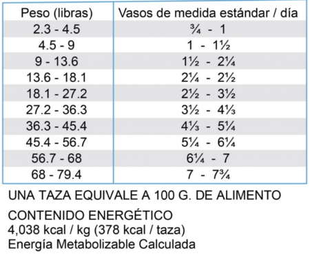 Diamond renal dog - Imagen 3